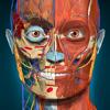 Anatomy Learning - 3D-Anatomie Icon