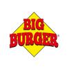 Big Burger Icon