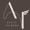 BWR: Angel Numbrs Icon