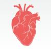 Cardio Tools Icon