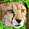 Cheetah Simulator Icon