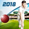 Cricket Captain 2018 Icon