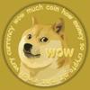 DogeChecker - Dogecoin Checker Icon