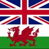 English Welsh Dictionary + Icon