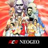 FATAL FURY SPECIAL ACA NEOGEO Icon