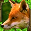 Fox Simulator Icon