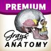 Grays Anatomy Premium Edition Icon