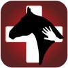 Horse Side Vet Guide Icon