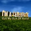 I'm A Celebrity... Icon