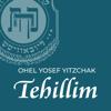 Kehot Tehillim Icon