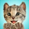 Little Kitten-Kids Pet Cat Sim Icon