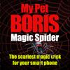 Magic Spider - My Pet Boris Icon