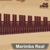 Marimba, Xylophone, Vibraphone Icon