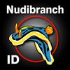 Nudibranch ID Indo Pacific Icon