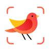 Picture Bird - Bird Identifier Icon