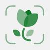 Plant Expert AI Icon