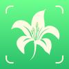 Plant Identifier: ChatPlant AI Icon