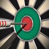 Pro Darts 2025 Icon