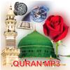 Quran Offline | Mallam Jaafar Icon