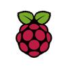 Raspberry Pi. Icon