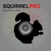 REAL Squirrel Calls and Squirrel Sounds for Hunting! Icon