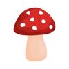 Shroomify - Mushroom ID Icon