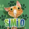 Similo: The Card Game Icon