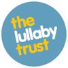 The Lullaby Trust Baby Check Icon