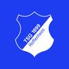 TSG 1899 Hoffenheim Icon