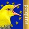 Vogelstimmen Europas 802 Arten Icon