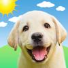 Weather Puppy: Forecast & Dogs Icon