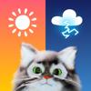 Weather & Live Radar - OpenPet Icon