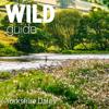 Wild Guide Yorkshire Dales Icon